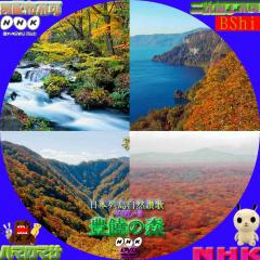 日本列島自然讃歌　４　水の四季