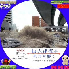 東日本大震災　巨大津波が都市を襲う